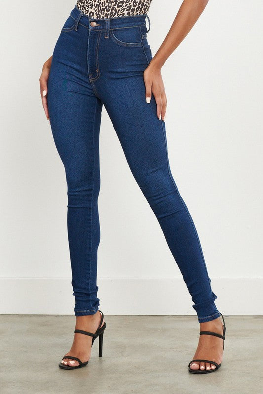 High Waisted Classic Skinny Jeans